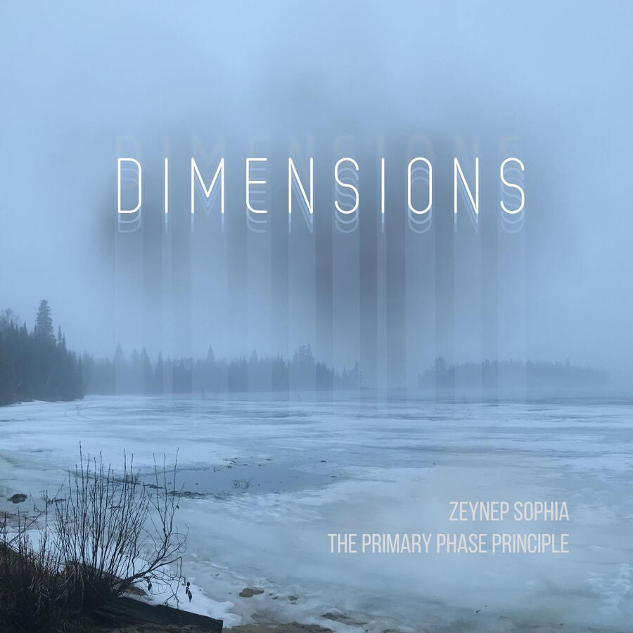 Cover art for Dimensions