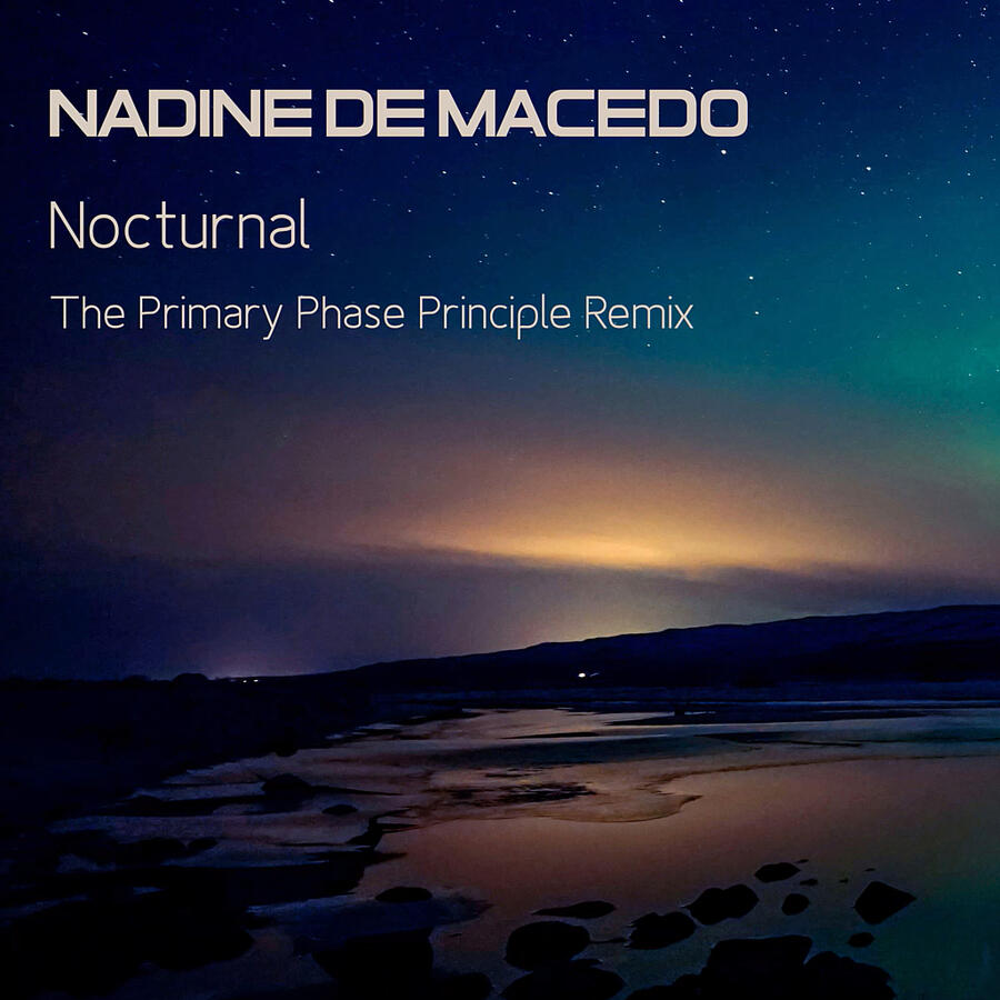 Cover art for Nocturnal (The Primary Phase Principle Remix)